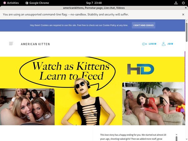 Account For Americankittens