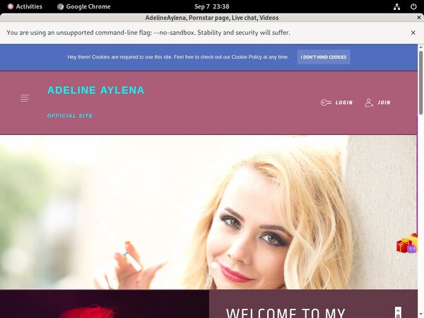 Adelineaylena.modelcentro.com Account 2015