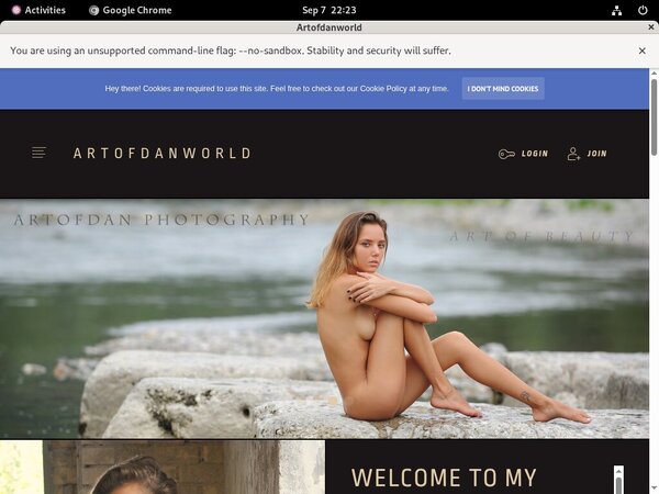 Artofdanworld.com Bank Payment