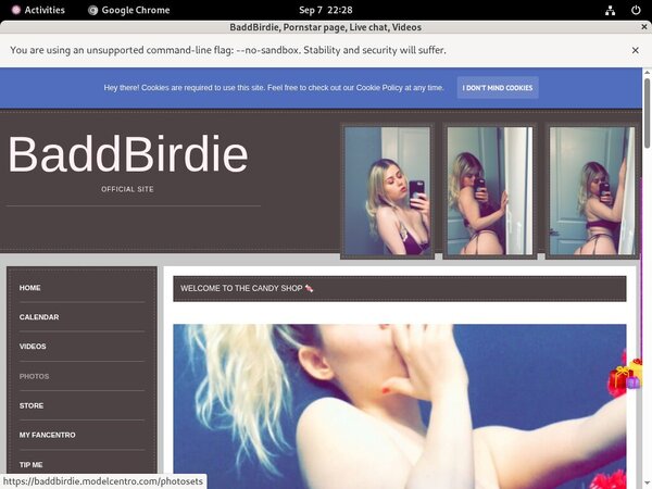 BaddBirdie Hack