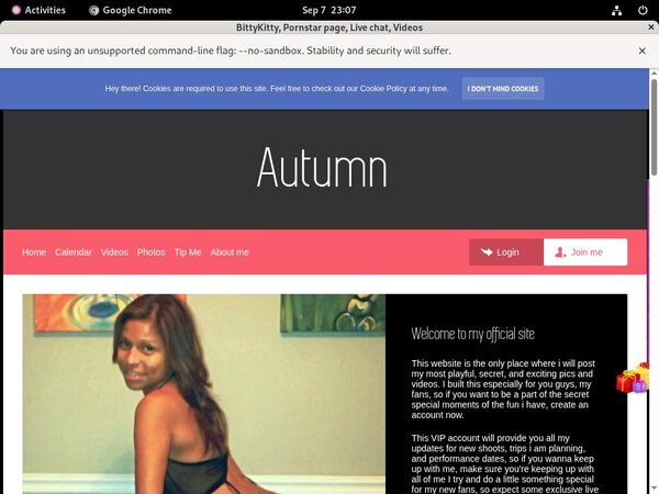 BittyKitty Discount Links