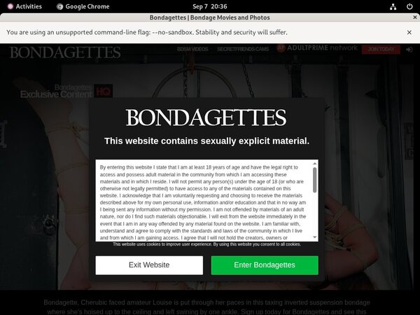 Bondagettes Home Page