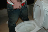 Boys Pissing Latest Videos s3