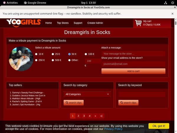 Discount Offer DreamgirlsInSocks
