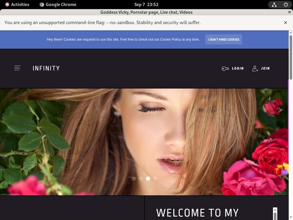 Discount Vickythevixxxmodelcentro.com Promo Code