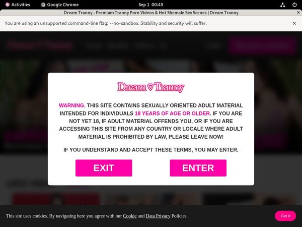 Dream Tranny Create Account
