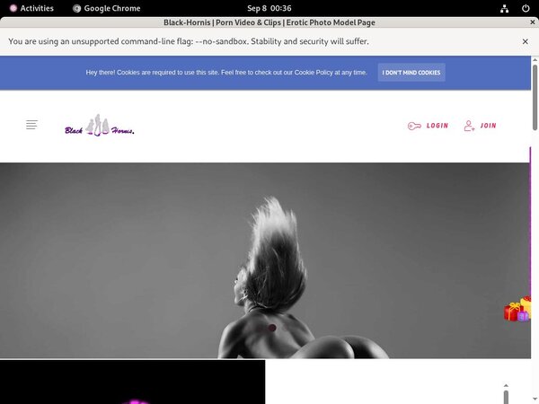 Free Black-hornis.net Passwords
