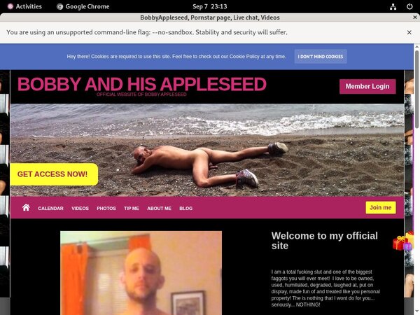 Free Bobbyappleseed.modelcentro.com Username