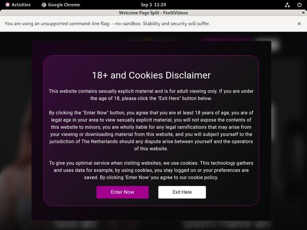 Free Feel X Videos Account Passwords