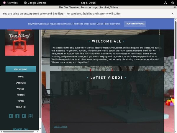 Free Logins For Thealleywynwood.modelcentro.com
