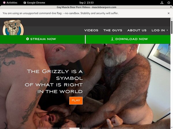 Free Passwords Muscle Bear Porn