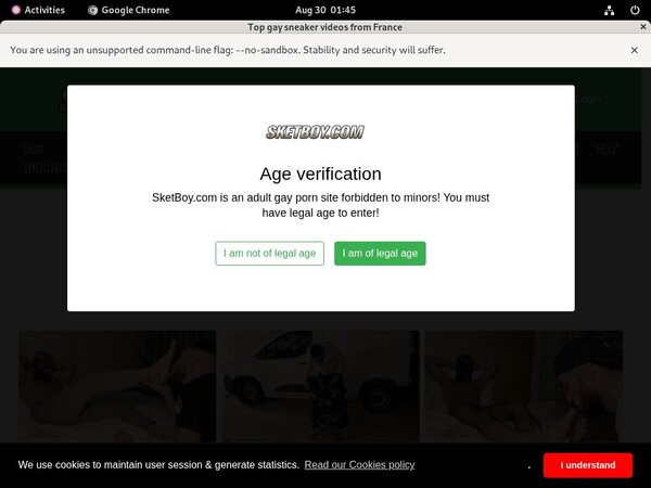 Free Passwords Sket Boy