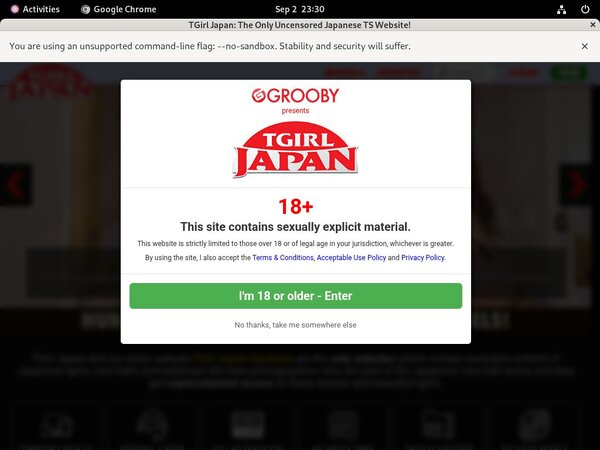 Free Tgirljapan Passwords