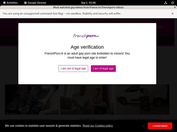 French Porn Gay Member Review