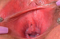 Gapemypussy Images s2