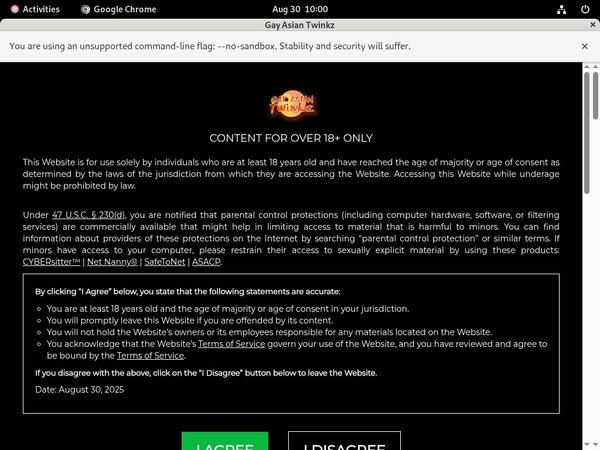 Gay Asian Twinkz Casting