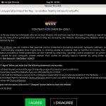 How To Access Workinmenxxx.com