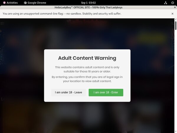 How To Get Helloladyboy.com For Free