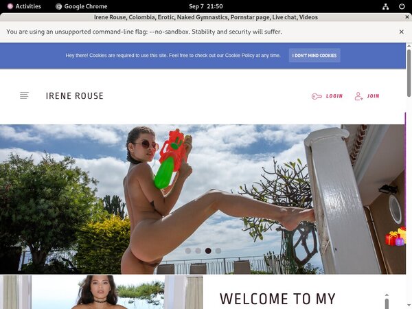 Inside Irenerouse.com