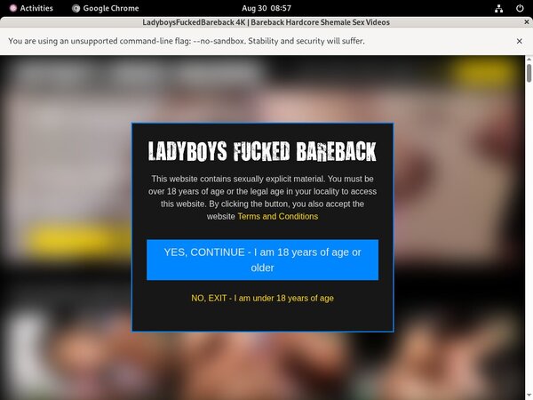Join Ladyboysfuckedbareback.com With Paypal