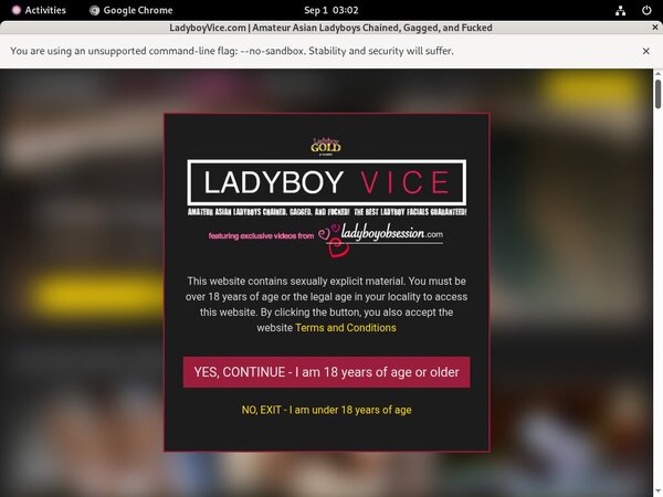 Ladyboy Vice Daily Passwords