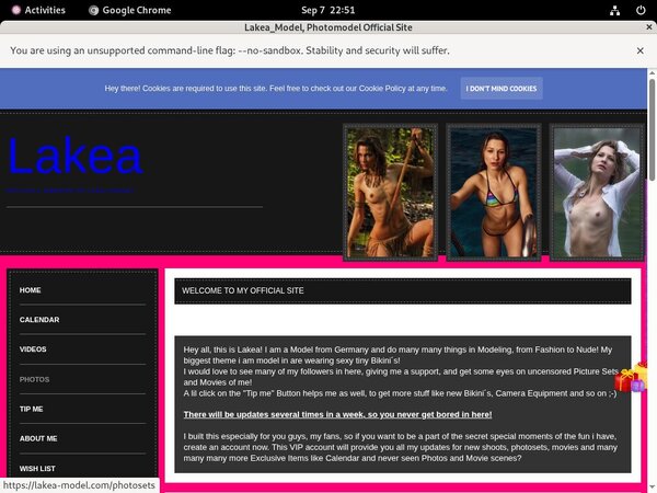 Lakea-model Trial Offers