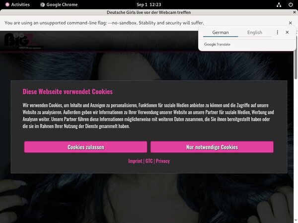 Lana Giselle Payment Form