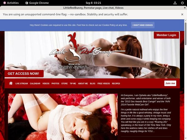 LittleRedBunny Preview