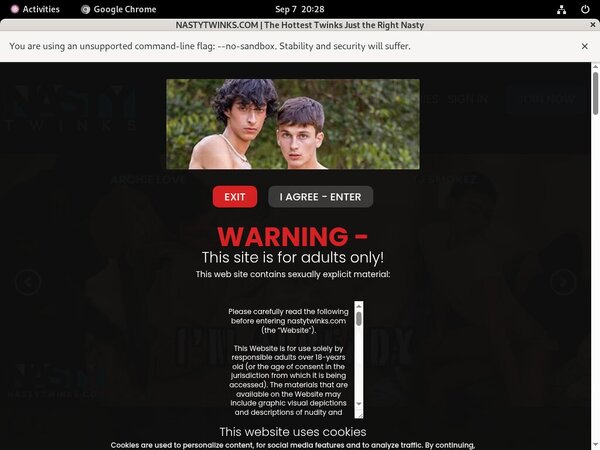 Nastytwinks 18