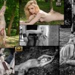 Paypal Subspace Land Com