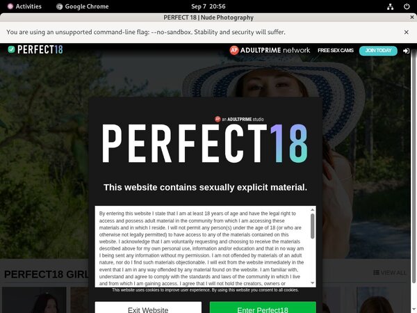 Perfect 18 Buy Credits