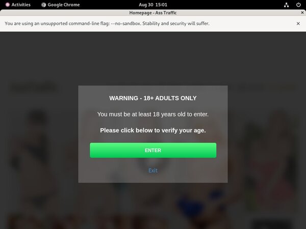 Premium Accounts Asstraffic