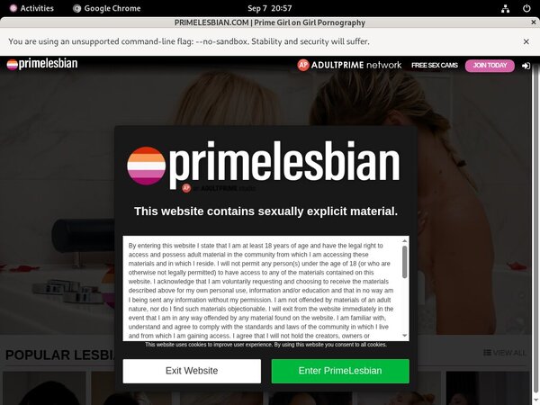 Prime Lesbians Pics