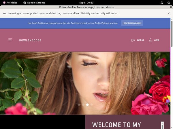 PrincexPunkin Accounts