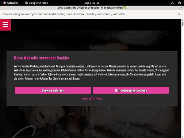 Sina Valentini Account Online