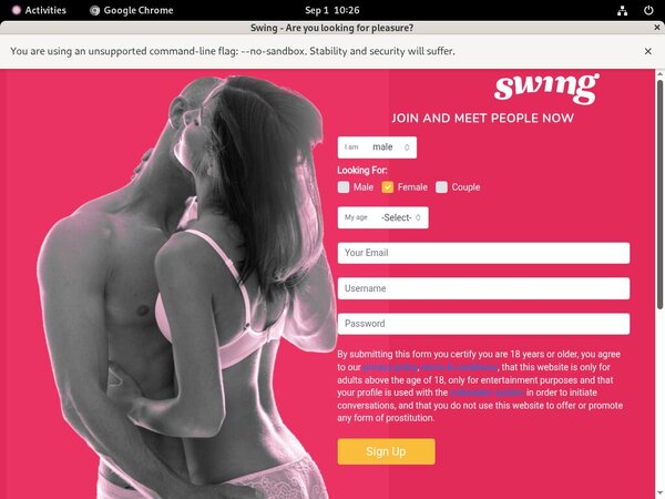 Swing.net Account Login