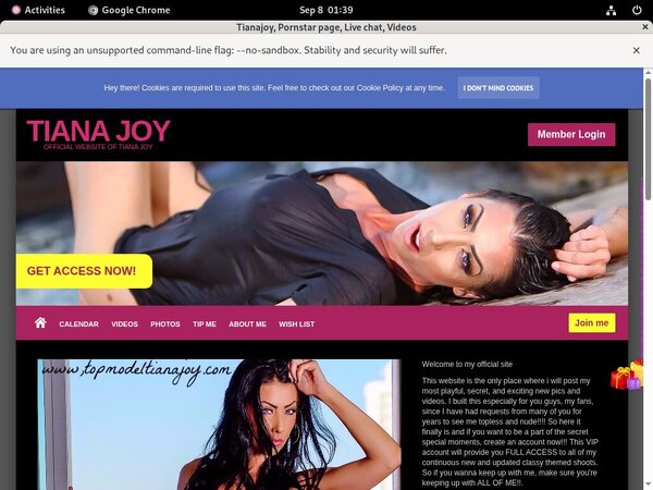 Tianajoy.modelcentro.com Image