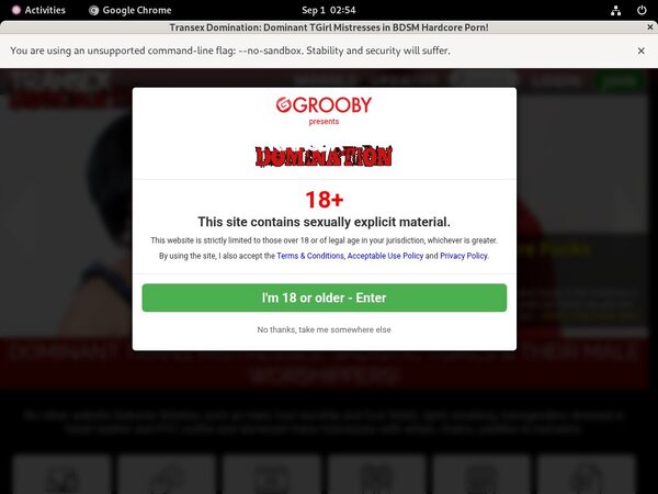 Transexdomination.com Passcodes