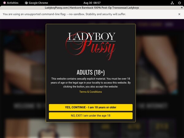 Trial Ladyboy Pussy Membership