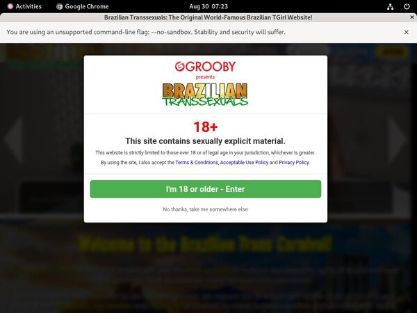 Try Free Brazilian Transsexuals