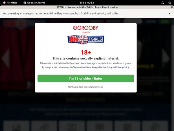 UK TGirls Porn Passwords