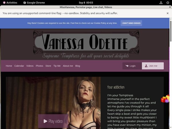 User Missvanessa.modelcentro.com