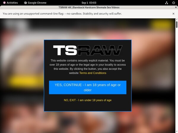 User TS Raw