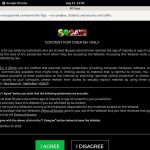 80gays Paysite Review