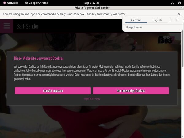 Sari-sander.com Discount Checkout