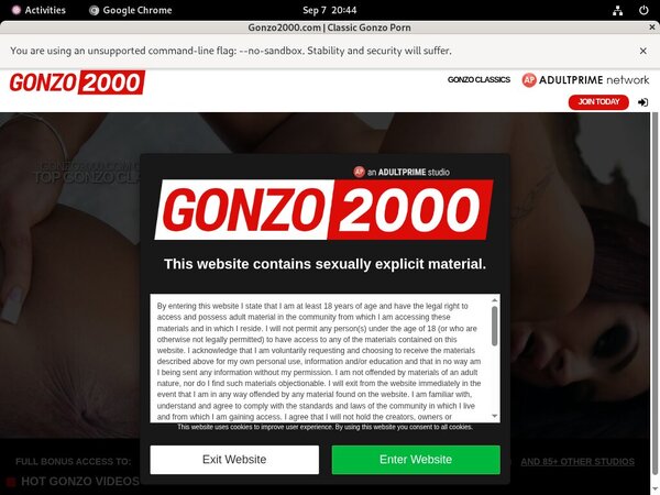Gonzo 2000 Payment Options